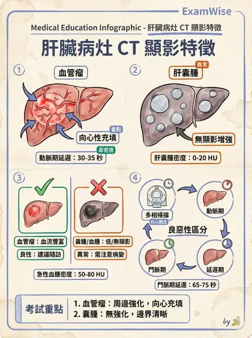 放射 - 胸腹部CT診斷 - AI 圖文解析預覽