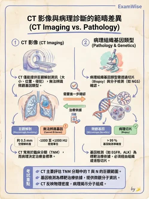 放射 - CTA與CT影像技術應用 - AI 圖文解析預覽
