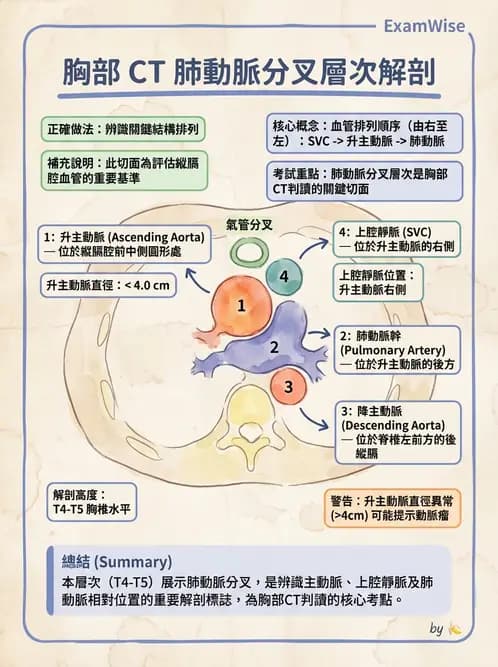 放射 - 胸腹部CT診斷 - AI 圖文解析預覽