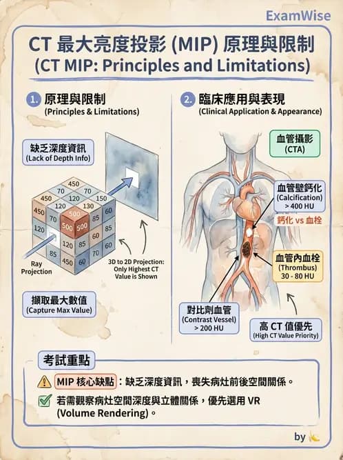放射 - CTA與CT影像技術應用 - AI 圖文解析預覽