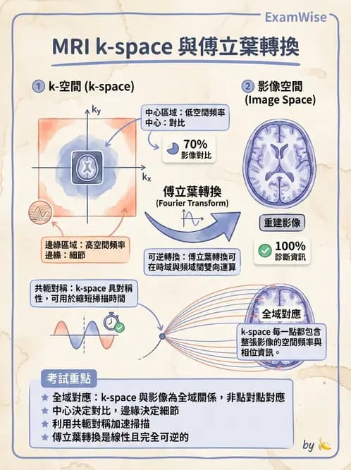 放射 - 磁振造影原理 - AI 圖文解析預覽