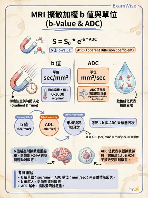 放射 - MR進階影像與臨床應用 - AI 圖文解析預覽