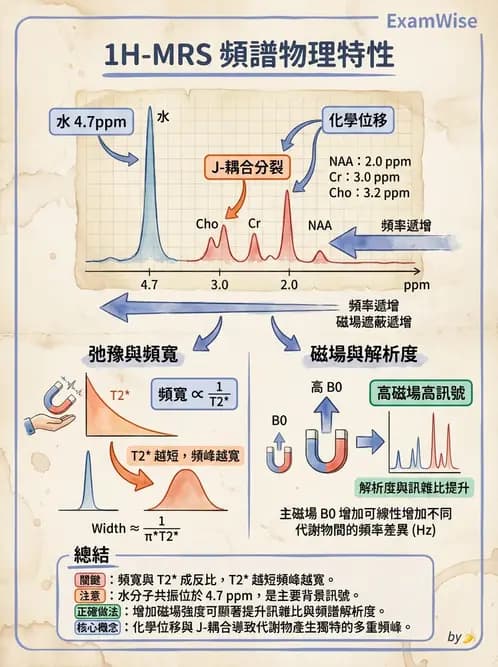 放射 - MRI脈衝序列與訊號技術 - AI 圖文解析預覽