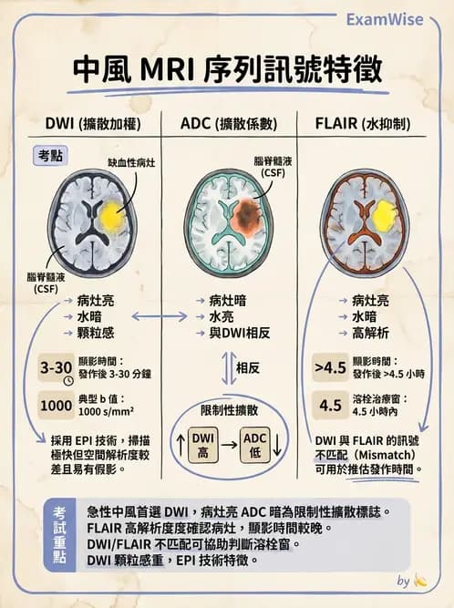 放射 - MR進階影像與臨床應用 - AI 圖文解析預覽