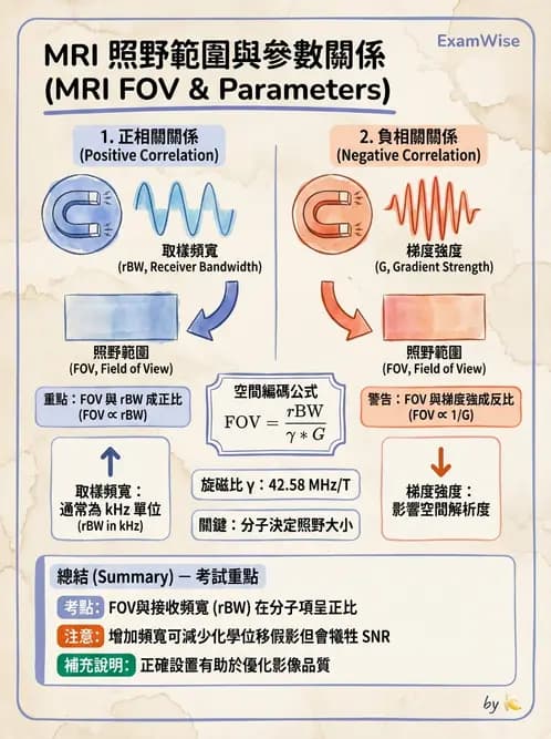 放射 - 磁振影像品質與參數 - AI 圖文解析預覽
