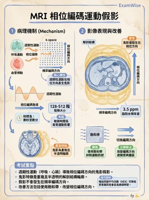 放射 - 磁振影像品質與參數 - AI 圖文解析預覽