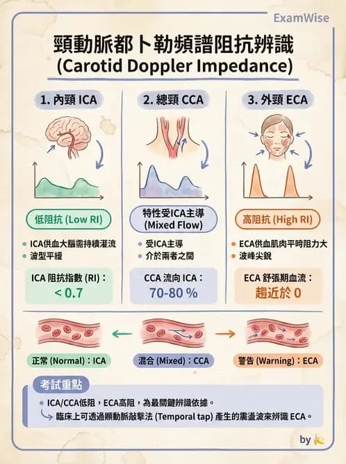 放射 - 腎臟血管與其他超音波 - AI 圖文解析預覽