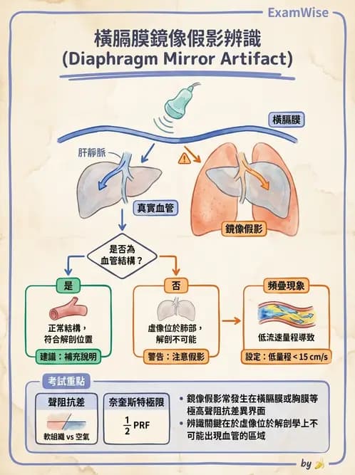 放射 - 肝臟超音波 - AI 圖文解析預覽