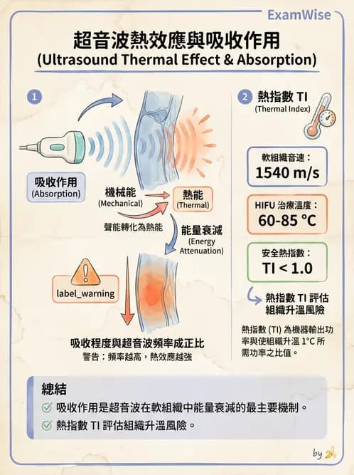 放射 - 超音波物理與技術 - AI 圖文解析預覽