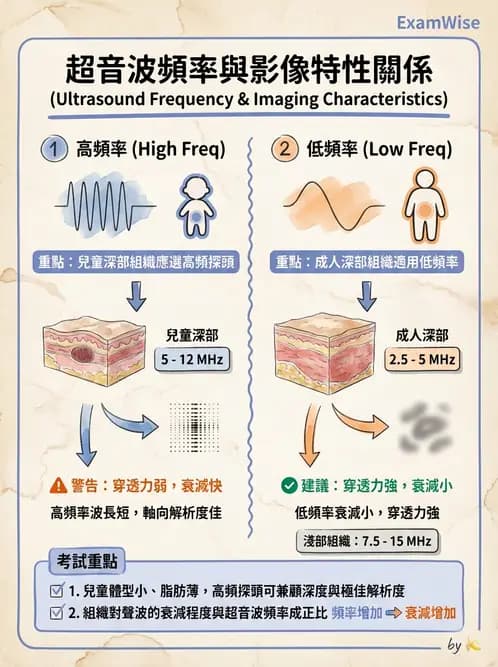 放射 - 超音波物理與技術 - AI 圖文解析預覽