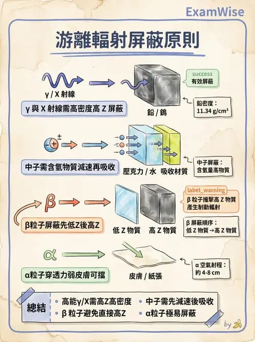 放射 - 輻射安全 - AI 圖文解析預覽