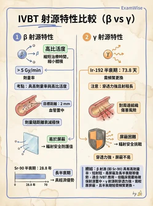 放射 - 血管內近接治療 - AI 圖文解析預覽