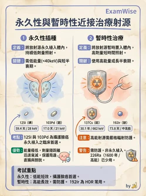 放射 - 插種近接治療 - AI 圖文解析預覽