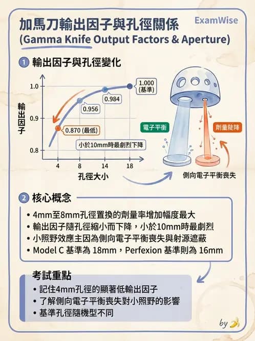 放射 - X-knife與Gamma-knife計畫 - AI 圖文解析預覽