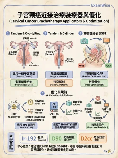 放射 - 腔內近接治療 - AI 圖文解析預覽
