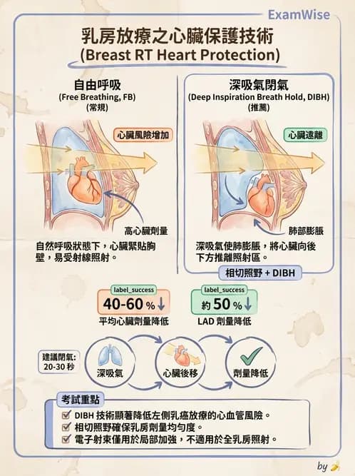 放射 - 疾病部位計畫與危急器官保護 - AI 圖文解析預覽