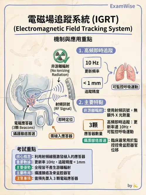 放射 - 影像導引放射治療(IGRT)與臨床應用 - AI 圖文解析預覽