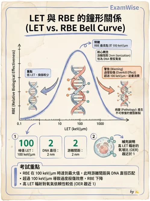 放射 - LET、RBE、OER與復氧效應 - AI 圖文解析預覽