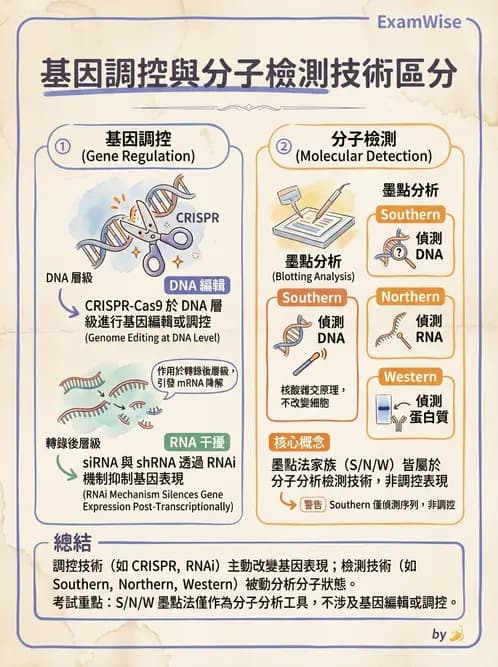 放射 - 輻射生物分子技術 - AI 圖文解析預覽