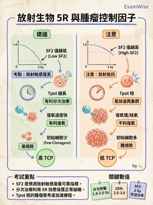 放射 - 腫瘤反應預測 - AI 圖文解析預覽