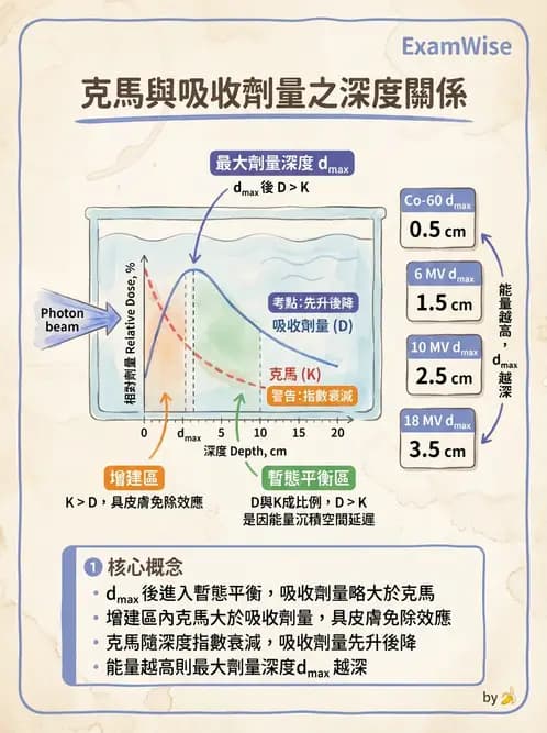 放射 - 劑量增建、散射因子與假體量測 - AI 圖文解析預覽