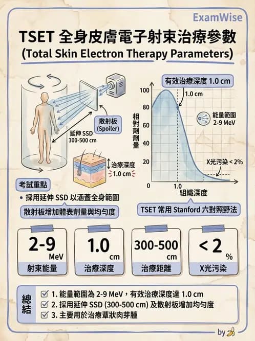 放射 - 全身放射治療技術(TBI/TSET) - AI 圖文解析預覽