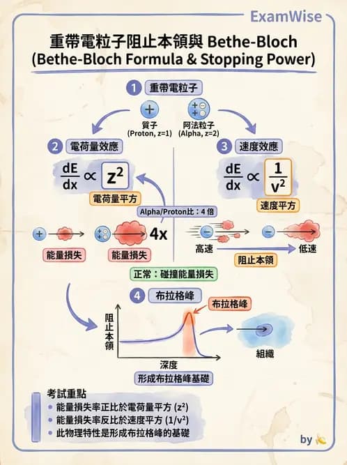 放射 - 質子與粒子治療 - AI 圖文解析預覽