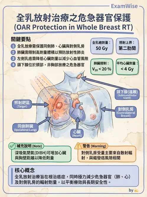 放射 - 疾病部位計畫與危急器官保護 - AI 圖文解析預覽