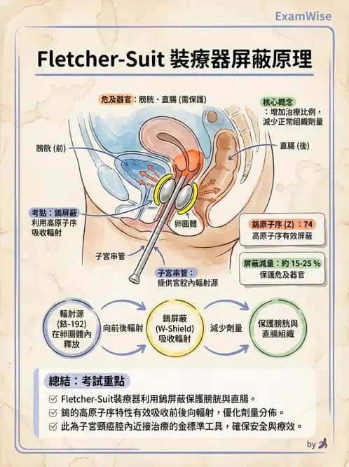 放射 - 腔內近接治療 - AI 圖文解析預覽