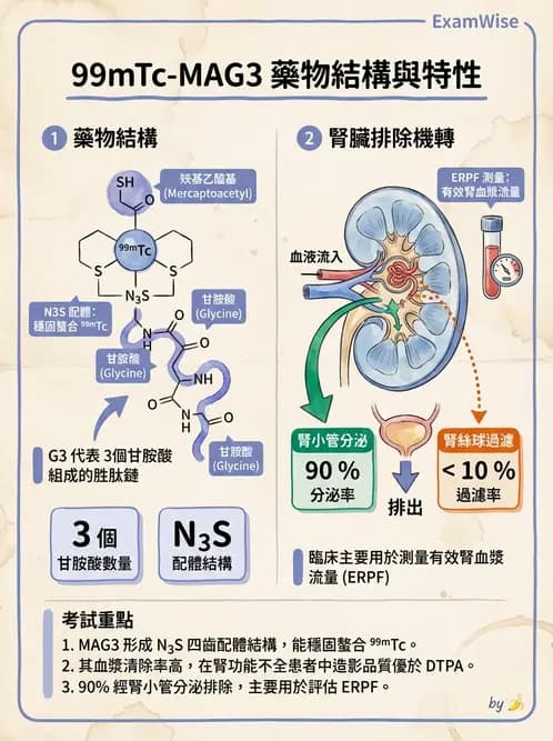放射 - 腎臟造影SPECT藥物 - AI 圖文解析預覽