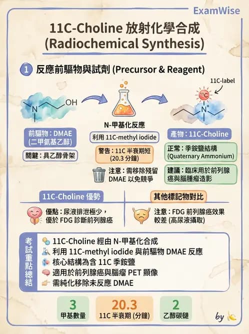 放射 - 腫瘤PET藥物 - AI 圖文解析預覽