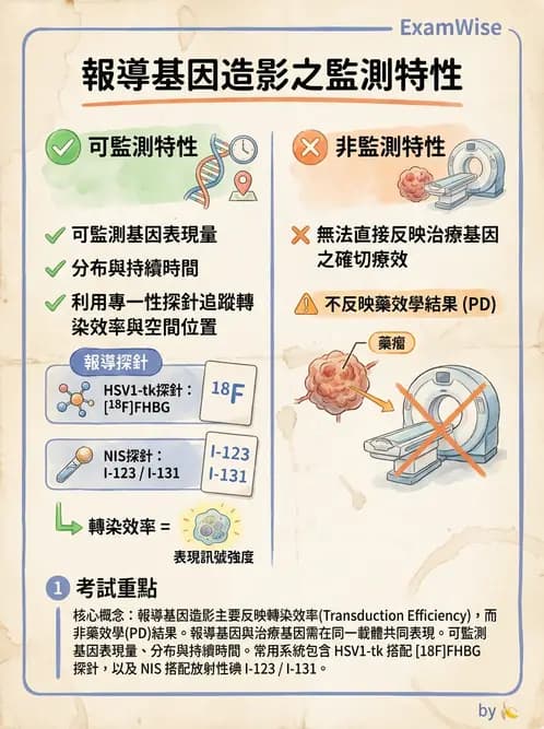 放射 - FDG PET造影 - AI 圖文解析預覽