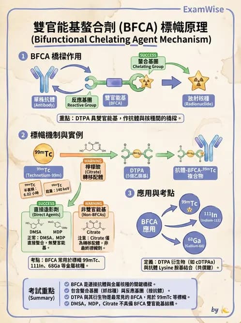 放射 - 肺肝膽與製劑通則 - AI 圖文解析預覽