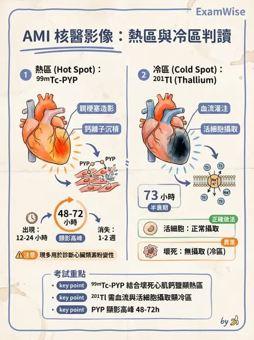 放射 - 心室功能造影 - AI 圖文解析預覽