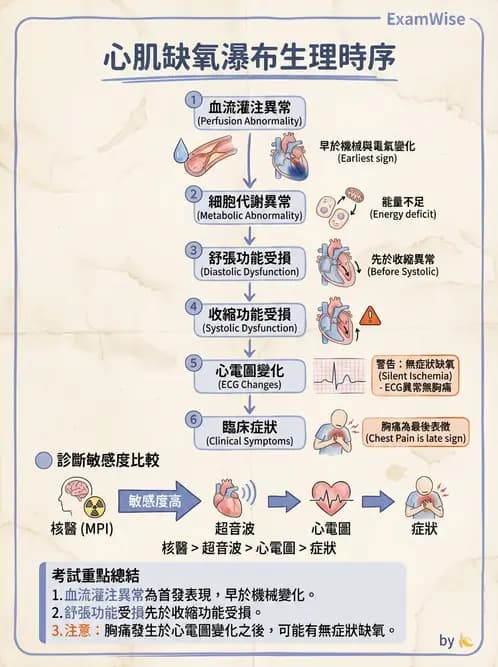 放射 - 心室功能造影 - AI 圖文解析預覽