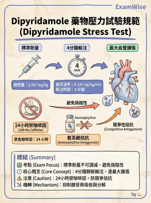 放射 - 心臟灌注造影 - AI 圖文解析預覽