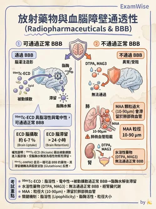 放射 - 腦部造影SPECT藥物 - AI 圖文解析預覽