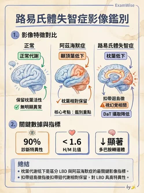 放射 - 腦部造影 - AI 圖文解析預覽