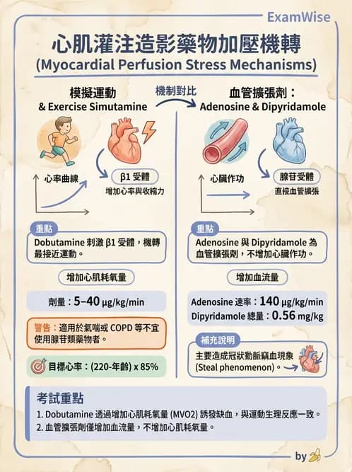 放射 - 心臟灌注造影 - AI 圖文解析預覽