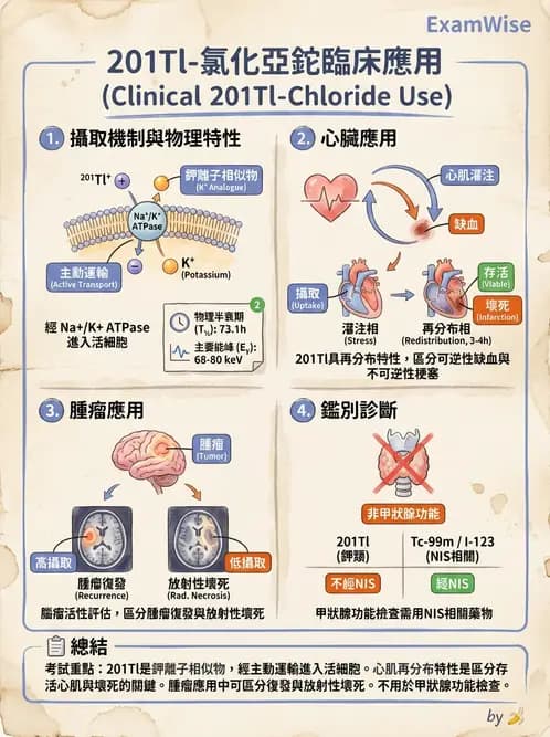 放射 - 心室功能造影 - AI 圖文解析預覽
