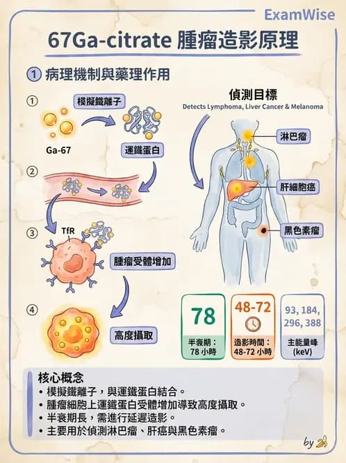 放射 - 腫瘤與內分泌造影SPECT藥物 - AI 圖文解析預覽