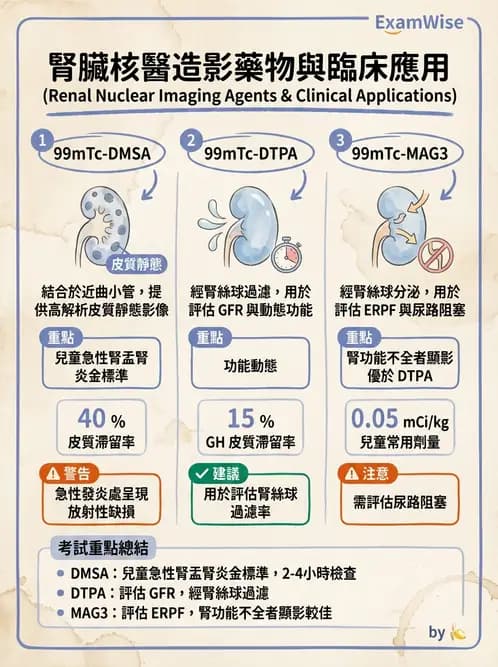 放射 - 腎臟造影 - AI 圖文解析預覽