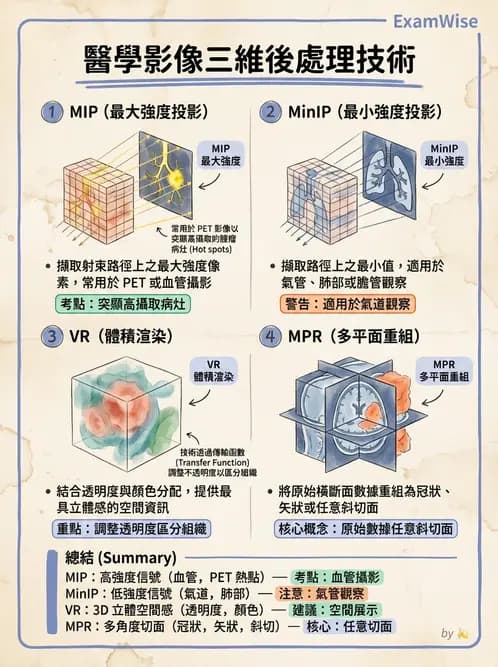 放射 - PET造影原理與重組 - AI 圖文解析預覽