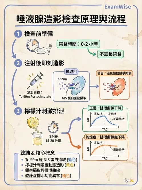 放射 - 消化道造影 - AI 圖文解析預覽