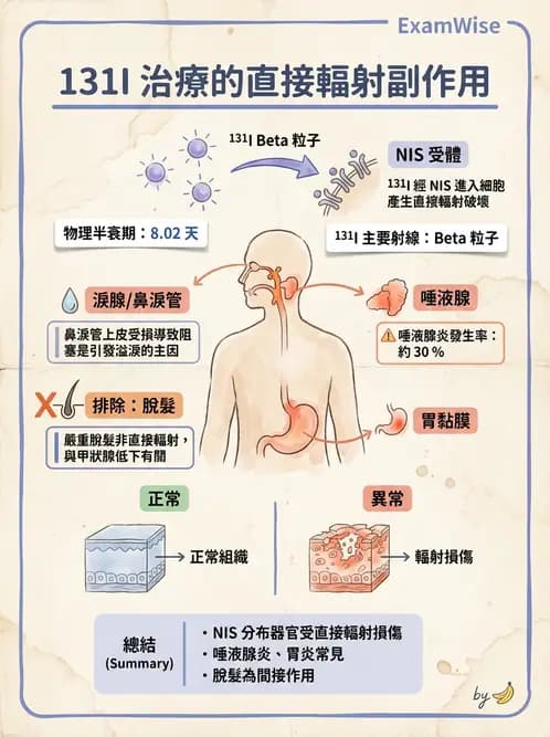 放射 - 腫瘤治療 - AI 圖文解析預覽