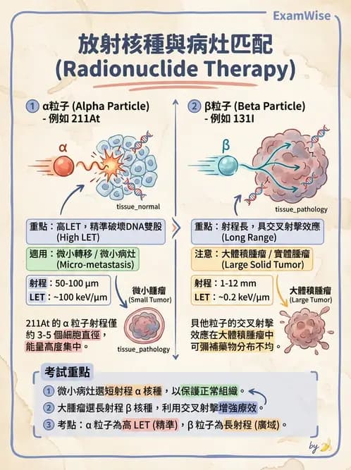 放射 - 腫瘤治療 - AI 圖文解析預覽