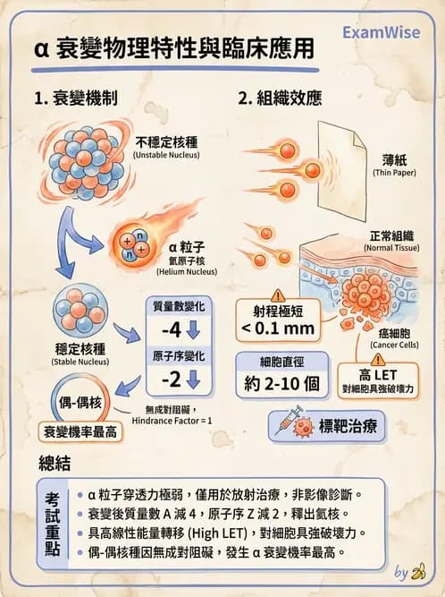 放射 - 蛻變類型與計算 - AI 圖文解析預覽