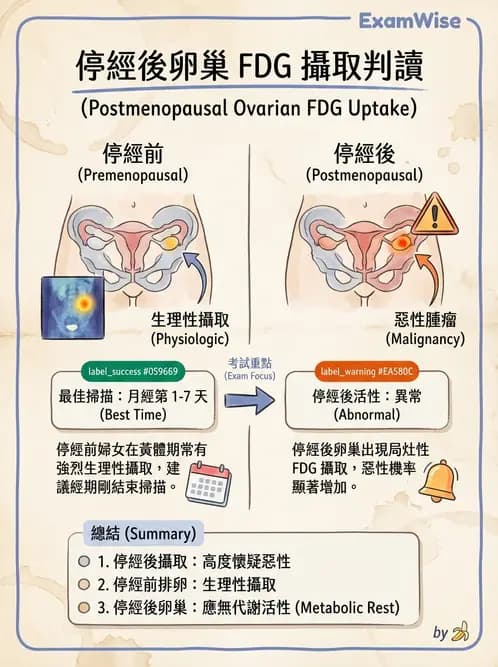 放射 - FDG PET造影 - AI 圖文解析預覽
