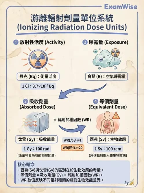 放射 - 輻射安全與保健物理 - AI 圖文解析預覽