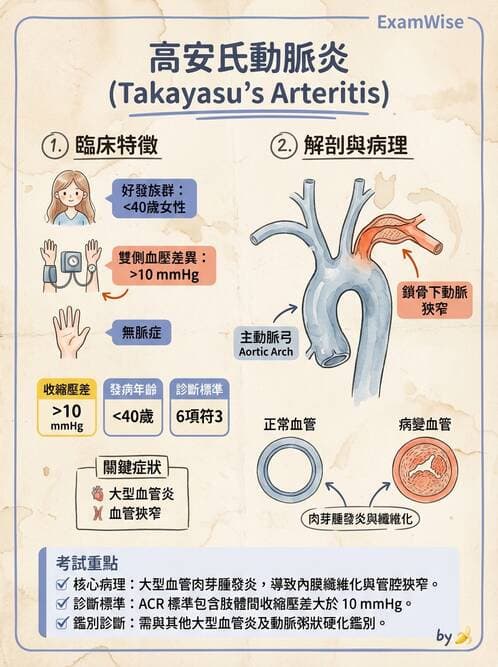 護理師 - 呼吸、循環系統 - AI 圖文解析預覽